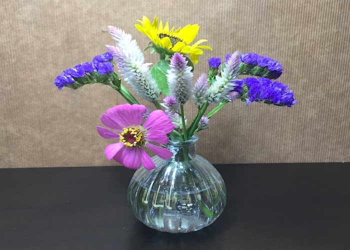小さい花瓶なら生け花も簡単 季節の花を飾って健康効果を上げよう 月にサボテン