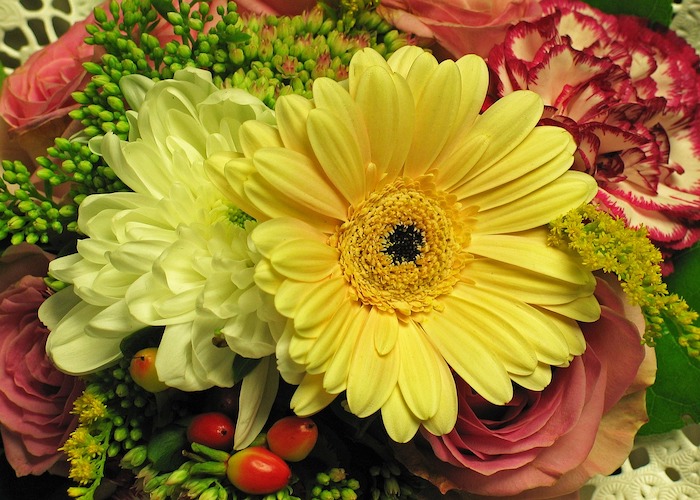 入学や就職祝いに贈るお花5選 門出にふさわしい花言葉を持つお花を紹介します 月にサボテン